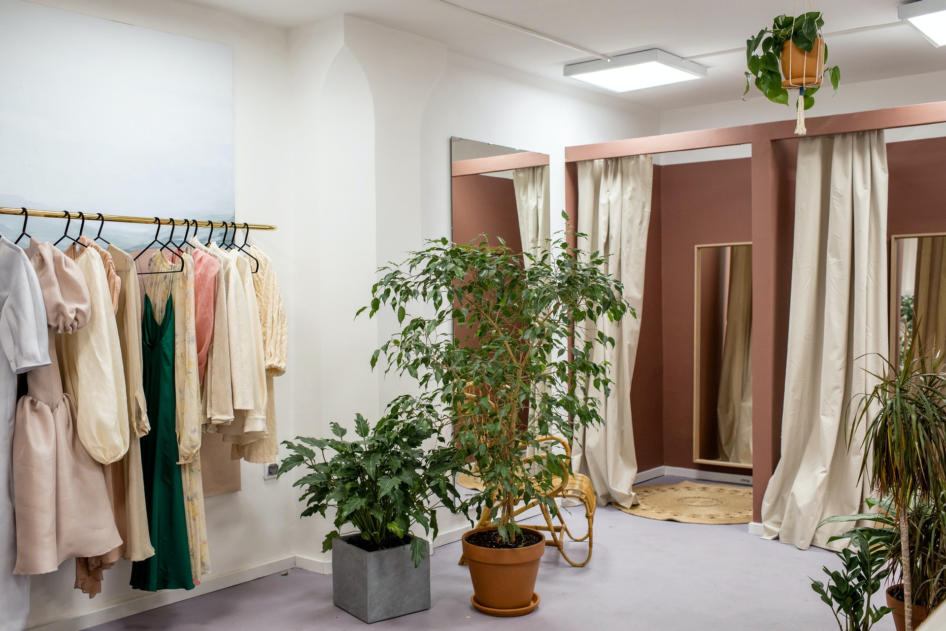 interior of clothing shop with dressing rooms and plants