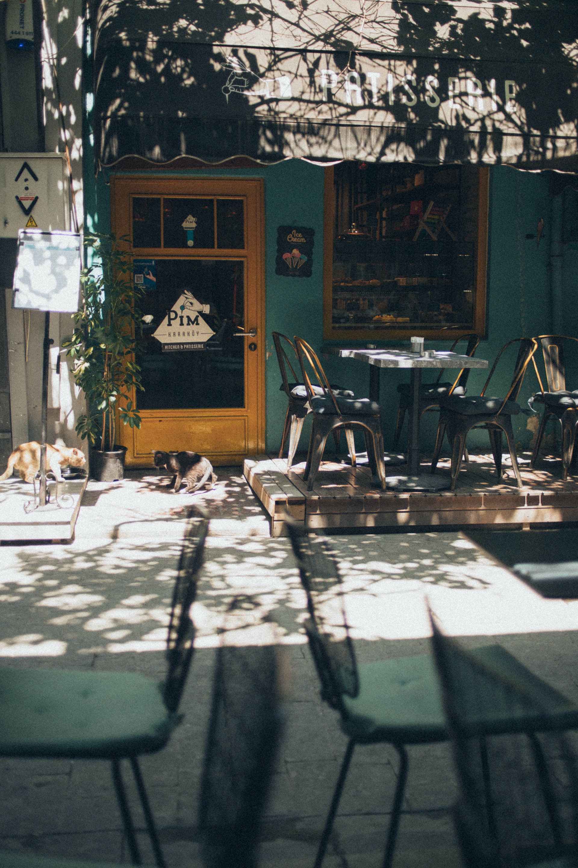 Exterior of street side cafe with two dogs and chairs