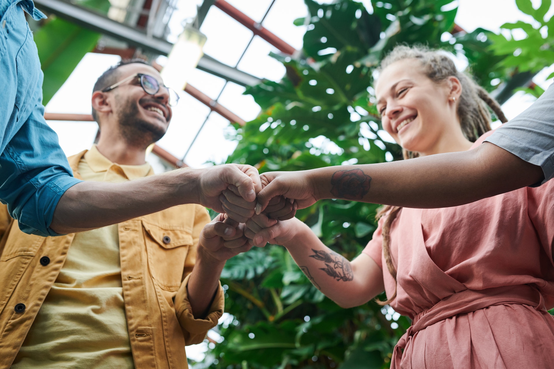 four people giving a group fist bump in greenhouse