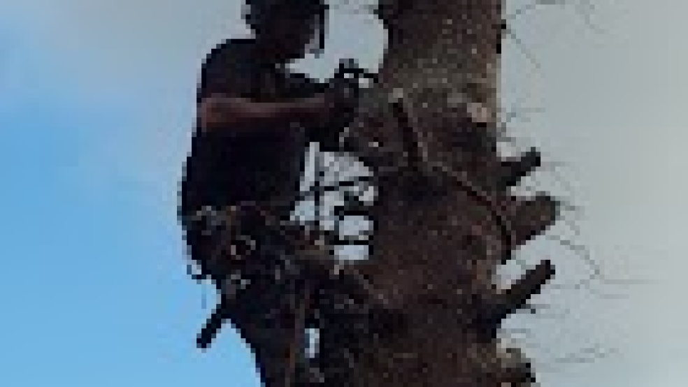 Growing Landscape Garden Services Business for Sale in Scotland in