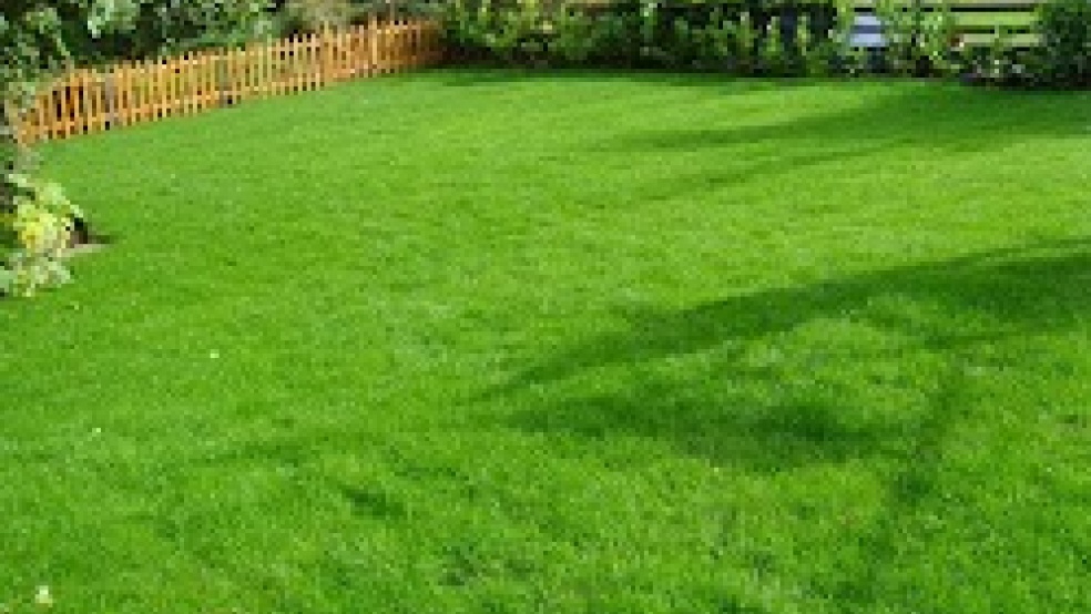 Growing Landscape Garden Services Business for Sale in Scotland in