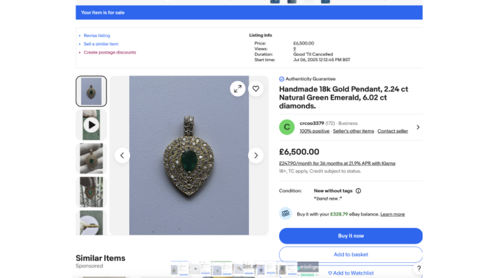 Photo of Profitable eBay Store Specialising in Jewellery and Collectibles