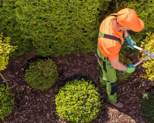 Specialist Garden Maintenance & Landscaping Business with Loyal Client Base