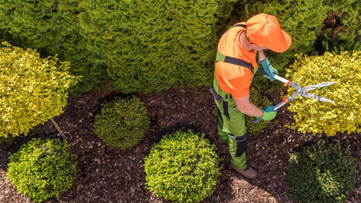 Photo of Specialist Garden Maintenance & Landscaping Business with Loyal Client Base